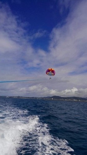 石垣島パラセーリング日記 翔んで石垣島 Blue Seasar ブルーシーサー